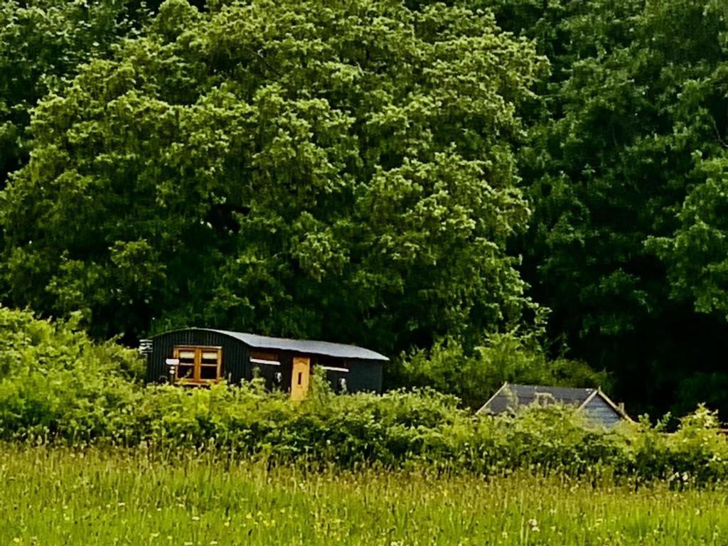 Shepherds Hut With Scandinavian Hot Tub And Hydromassager Sway Ngoại thất bức ảnh
